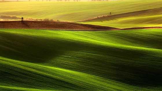 Moravian Fields, Czech Republic, Europe (1)