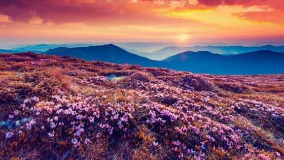 valley of flower trek