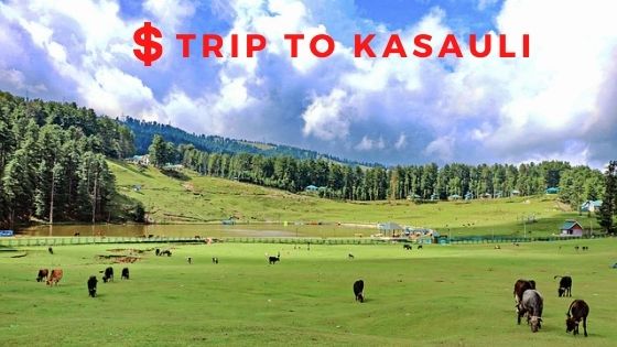 How To Plan A Perfect Trip To Kasauli From 3K To 5K | Travel Character